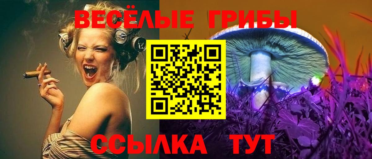Галлюциногенные грибы ЛСД Семёнов