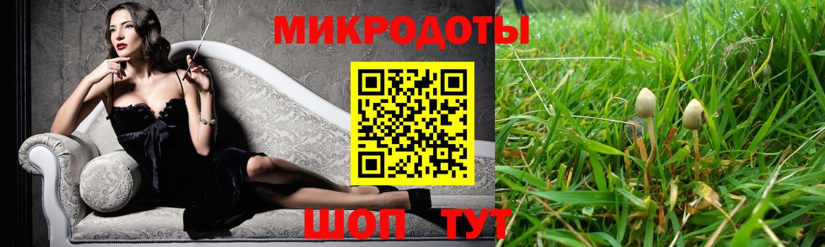 Галлюциногенные грибы мицелий  Вход с VPN  Семёнов  Галлюциногенные грибы Psilocybe 